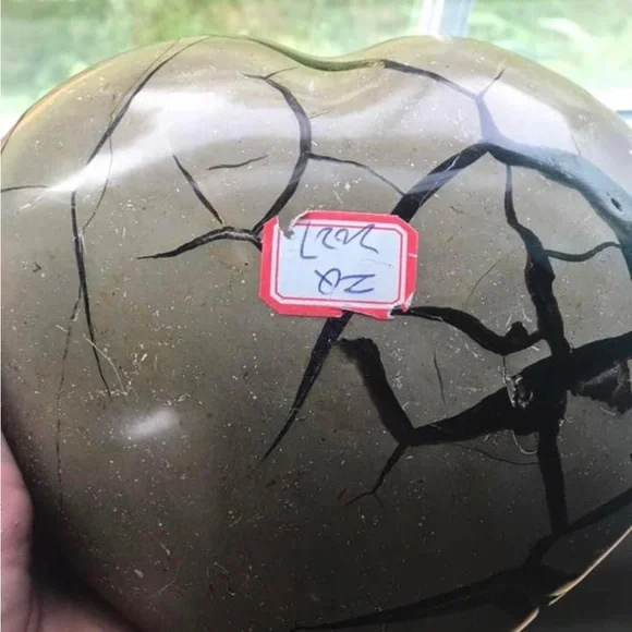 X-Large septarian dragon heart